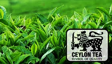 Ceylon tea1